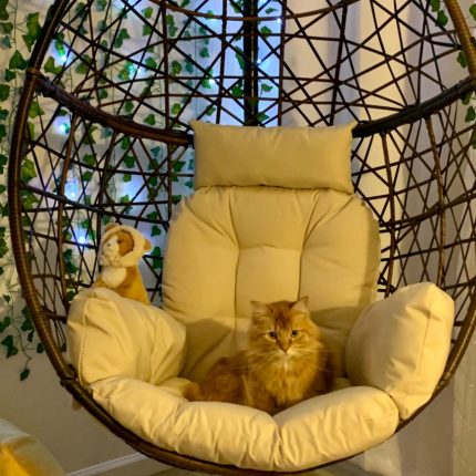 【Furniture】Double Egg Chair with Stand, Luxury Wicker Rattan Patio Basket Swing Egg Chair