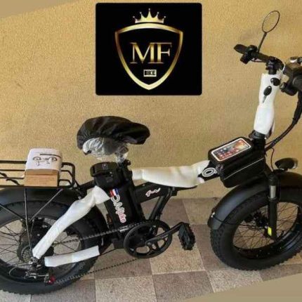 Bici elettrica Fat bike