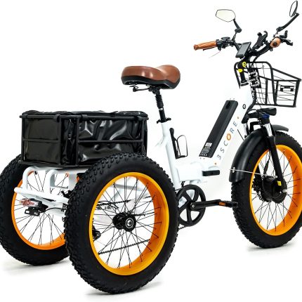 Electric Fat Trike 750W Motor and 48V Lithium Rechargeable Battery - Etrike 24 Inch Fat Tire - Foldable Electric Cruiser Tricycle
