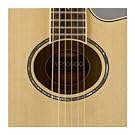 APX Soundhole : Oval